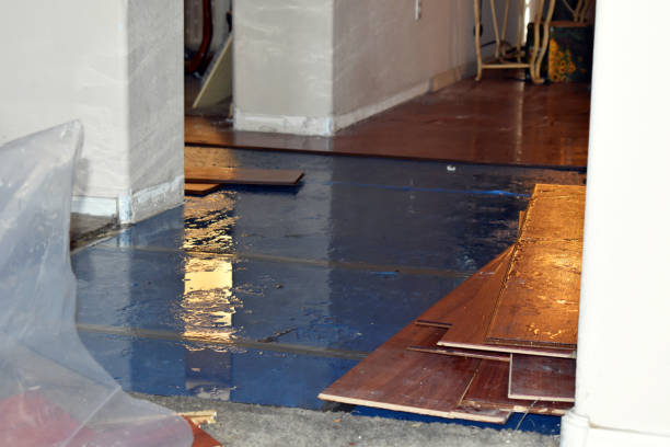 Professional Burst Pipe Cleanup technician working in Odenton, MD